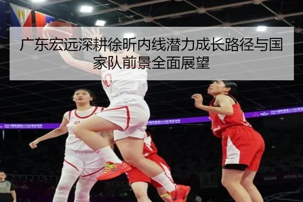 广东宏远深耕徐昕内线潜力成长路径与国家队前景全面展望