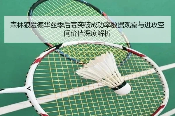 森林狼爱德华兹季后赛突破成功率数据观察与进攻空间价值深度解析