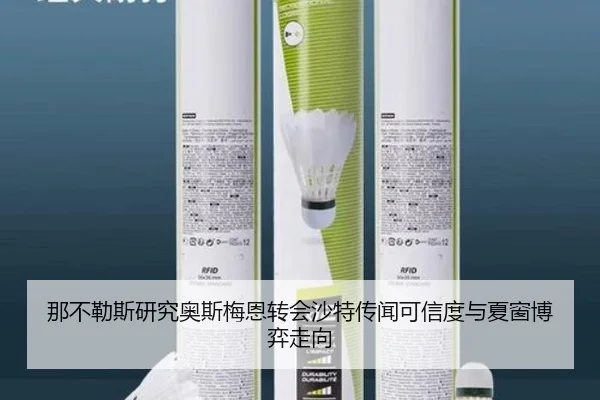 那不勒斯研究奥斯梅恩转会沙特传闻可信度与夏窗博弈走向